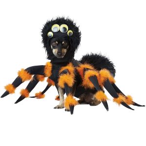 Disfraz Araña para mascota