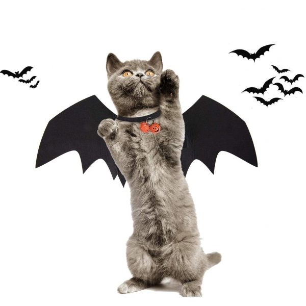 Disfraz de murciélago para gato
