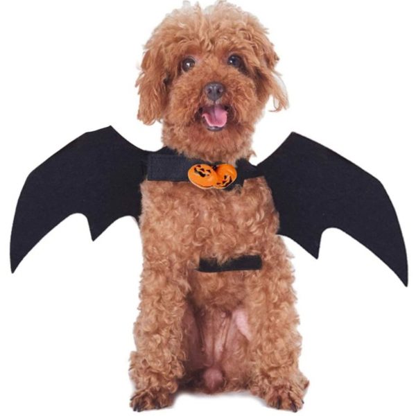 Disfraz de murciélago para perro
