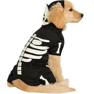 Disfraz mascota Esqueleto Luminiscente