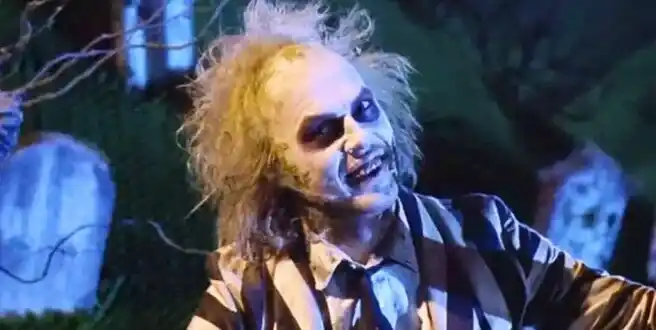 Disfraz de Beetlejuice